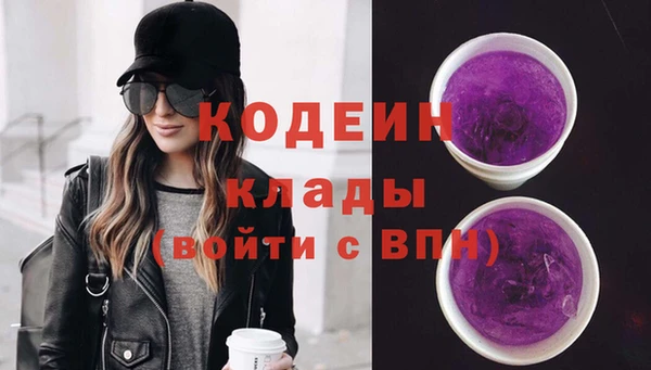 молекула духа Бородино