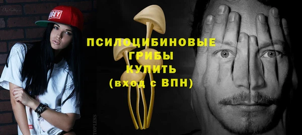 прущий лед Бронницы
