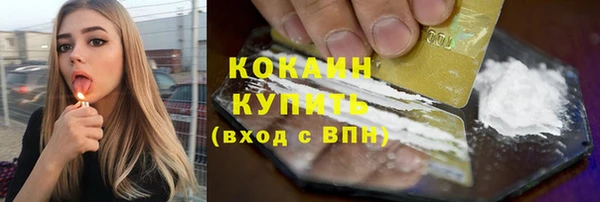 молекула духа Бородино