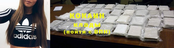 ГАЛЛЮЦИНОГЕННЫЕ ГРИБЫ Богданович