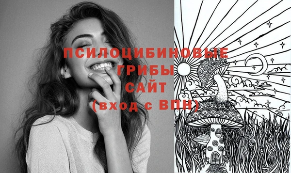 молекула духа Бородино