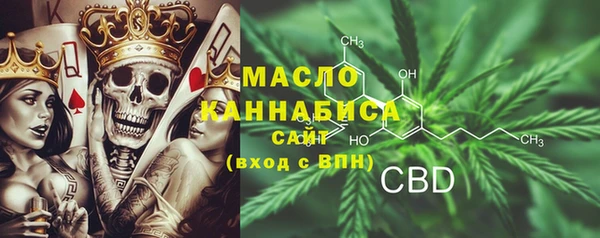 молекула духа Бородино