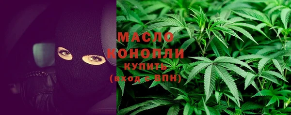 молекула духа Бородино