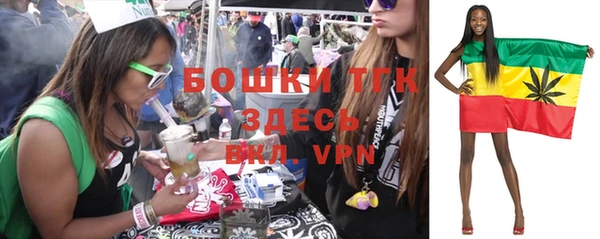 молекула духа Бородино